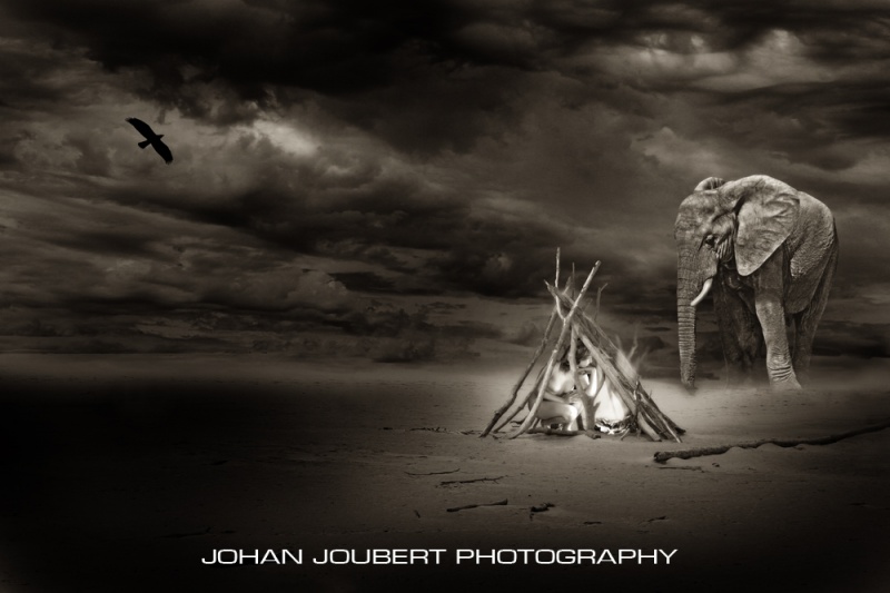 Male model photo shoot of Johan Joubert in South Africa