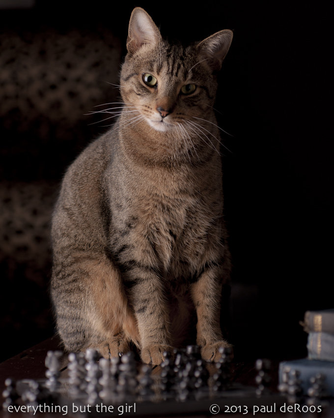 Male model photo shoot of stray cat photographics in studio 450