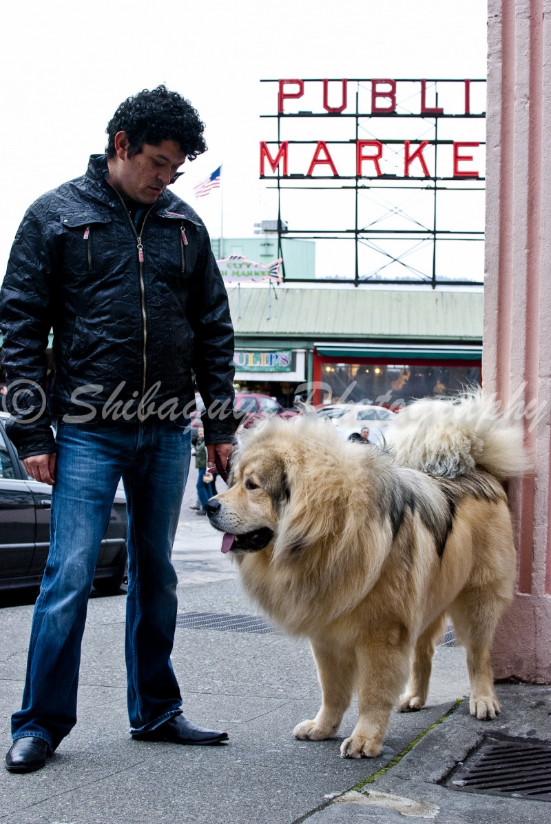 Male model photo shoot of Shibaguyz Photography in Pike Place Market, Seattle WA