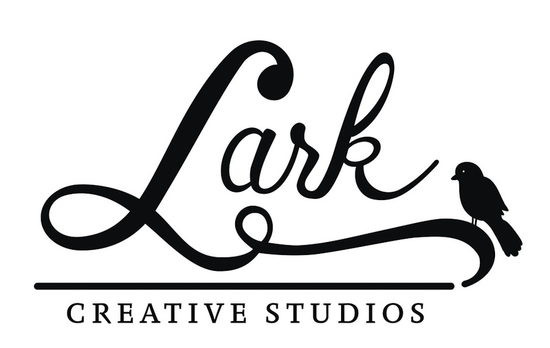 Female model photo shoot of Lark Creative Studios
