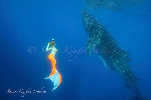 Female model photo shoot of Atlantis Mermaid in Isla Mujeres, Mexico