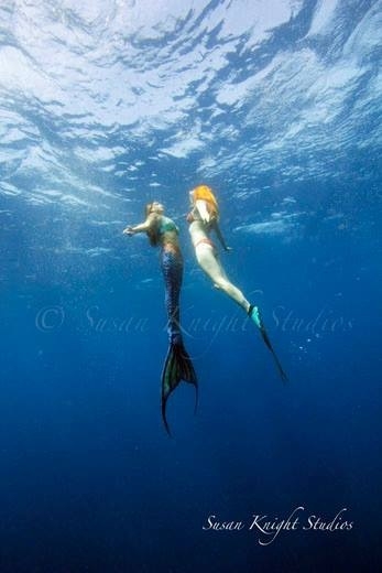 Female model photo shoot of Atlantis Mermaid and Mermaid Sharkey in Isla Mujeres, Mexico