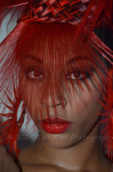 Male model photo shoot of Jak Wad Photography in Artistry of Motion show - Jan 2014 -Southfield, MI
