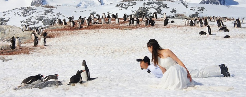 Female model photo shoot of vince yu in Antarctica