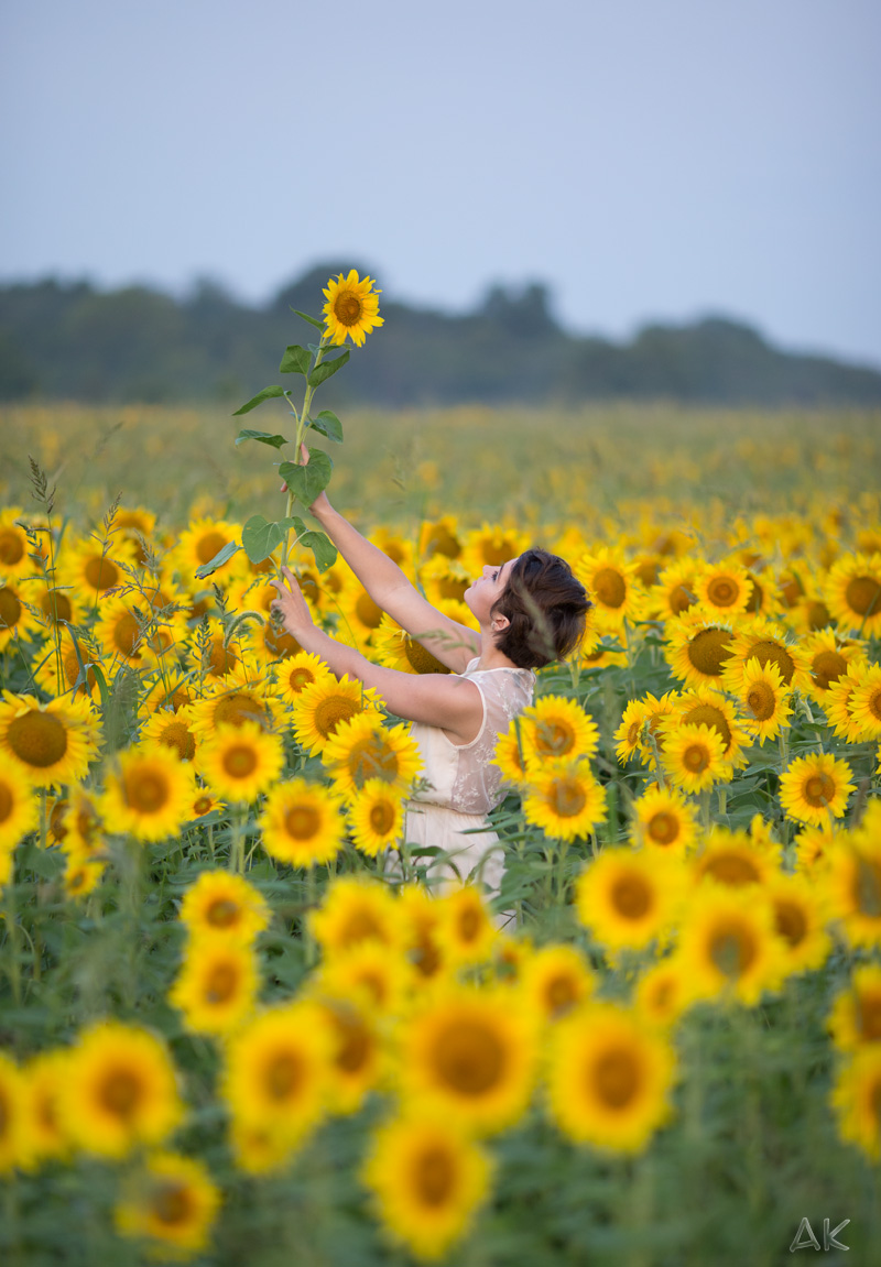 Male and Female model photo shoot of Air Karma and Charlie Vincent in Sunflower field