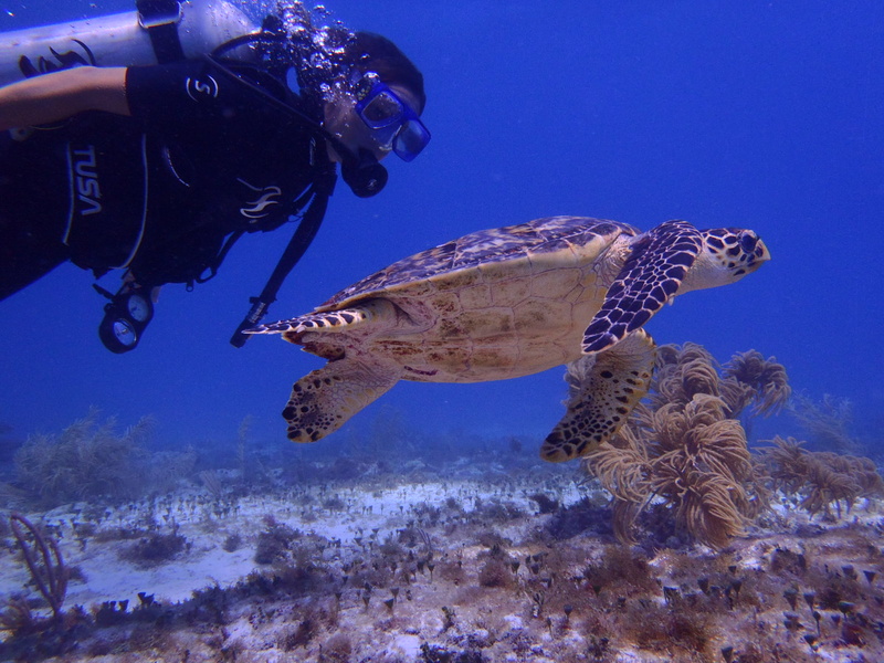 Male model photo shoot of IslaJim in Manchones Reef Isla Mujeres Mexico