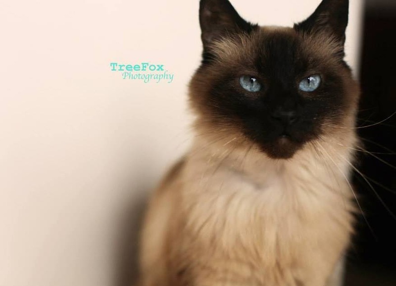 Female model photo shoot of TreeFox