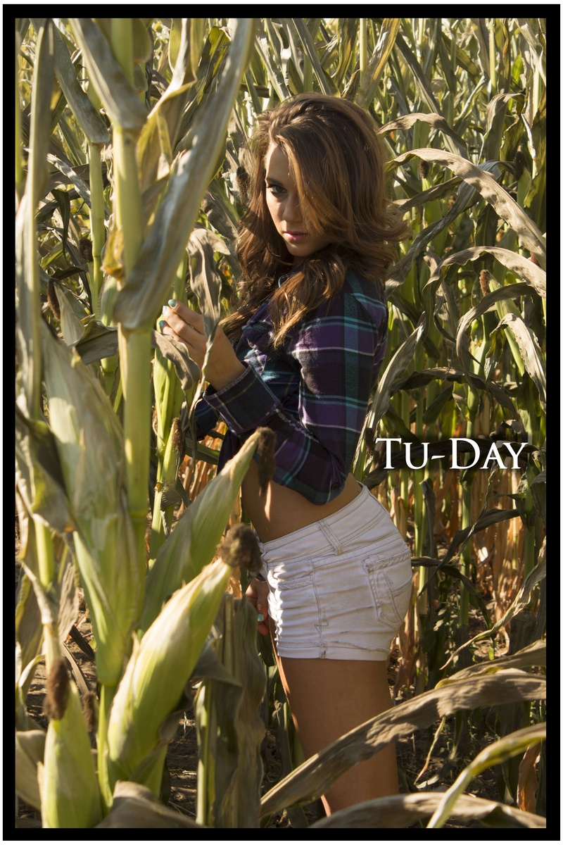 Male model photo shoot of Tu-Day Photography in Rutledge Corn Maze, Olympia, WA