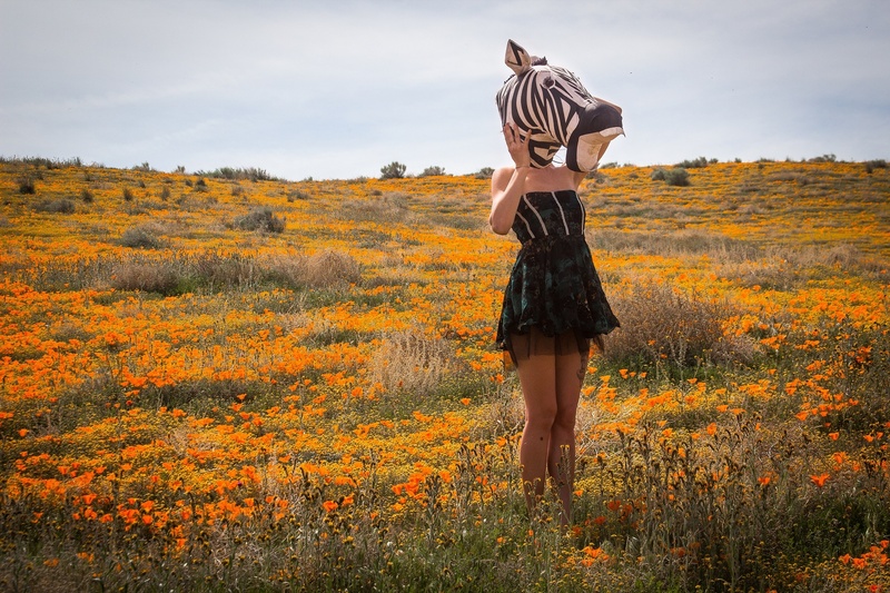 Female model photo shoot of Chantrieri by Nilas in Poppy Reserve, Lancaster, CA
