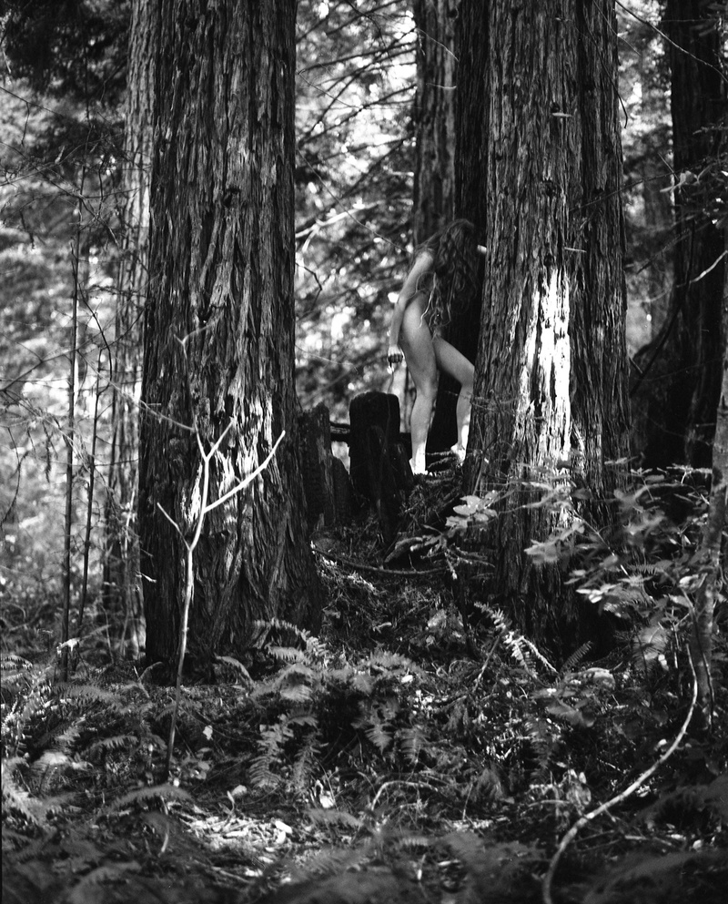 Female model photo shoot of Selina Mayer in The Grove of Old Trees