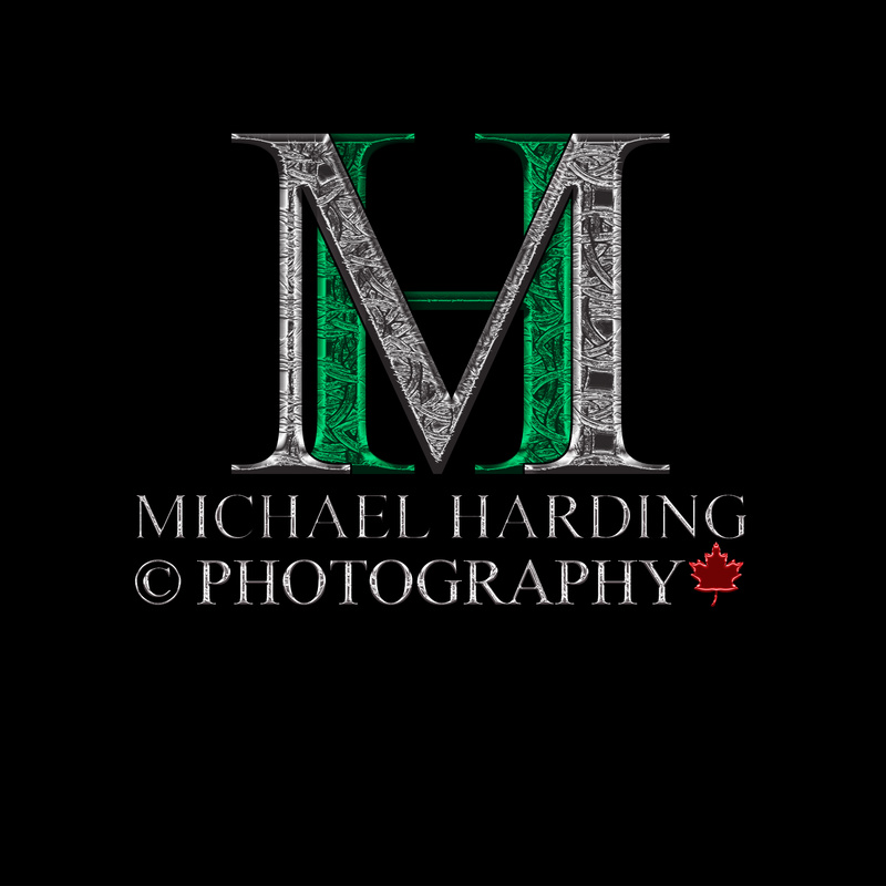 Male model photo shoot of mikeharding3