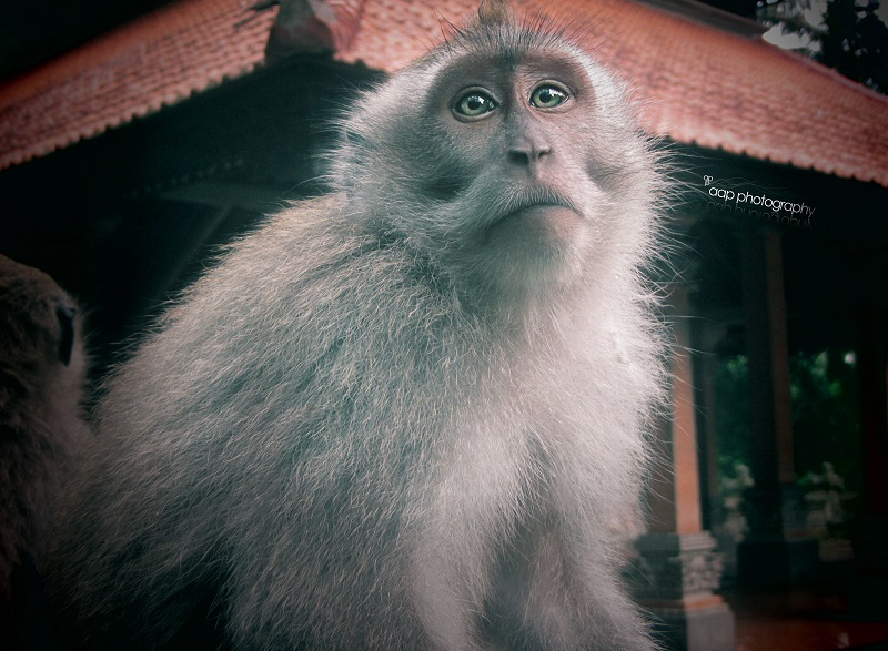 Male model photo shoot of nick aap