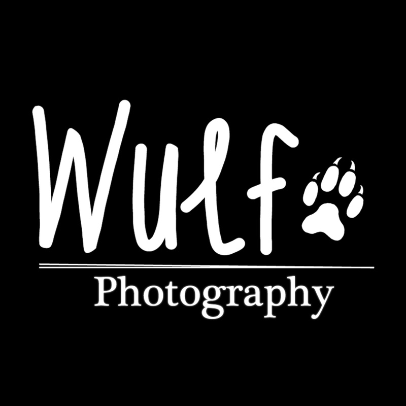 Male model photo shoot of WulfPhotography