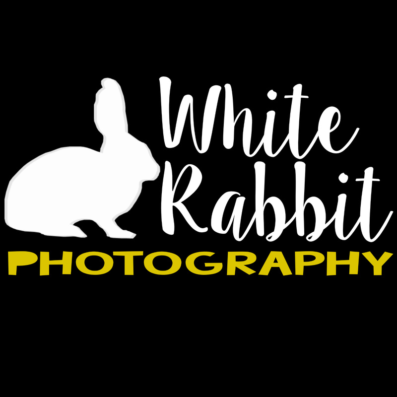 Female model photo shoot of whiterabbitphotographs