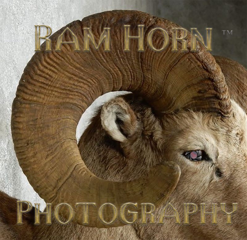 Male model photo shoot of RamHorn in Vancouver B.C.