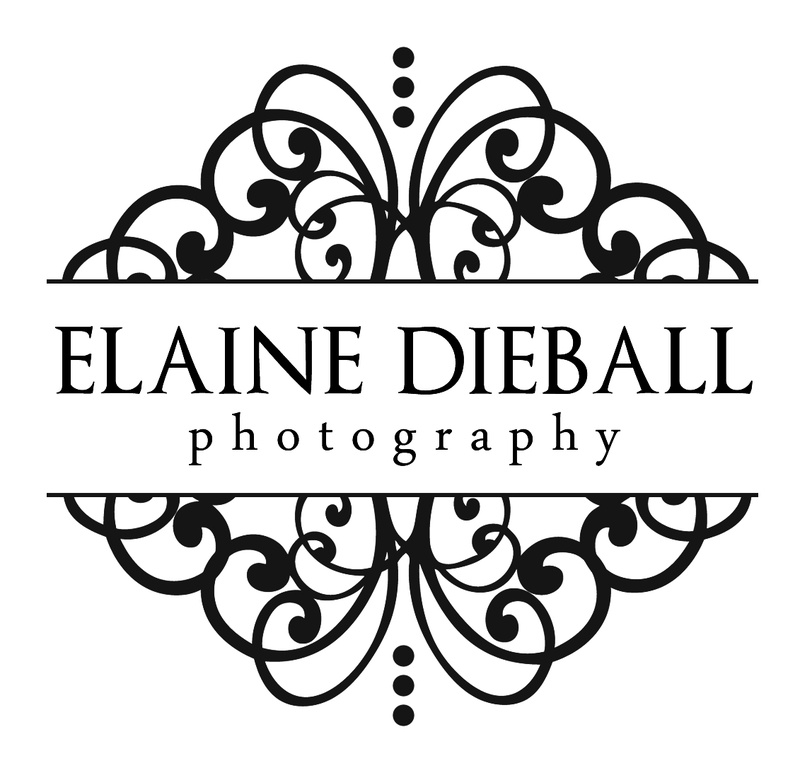 Female model photo shoot of Elaine Dieball