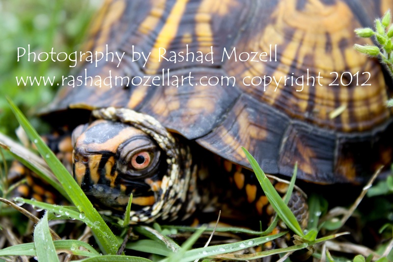 Male model photo shoot of MozellPhotography