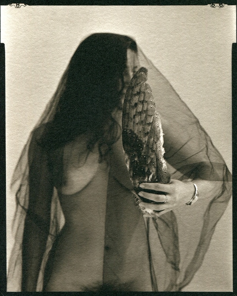 Female model photo shoot of Fleur Phytal