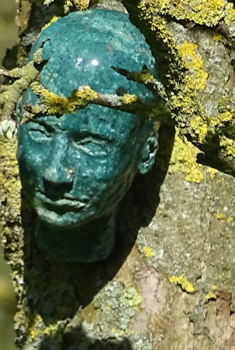 Male model photo shoot of skulpto