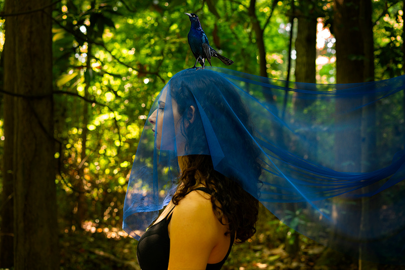 Male and Female model photo shoot of grahamx_photo and Veronica Cassara in magical forest