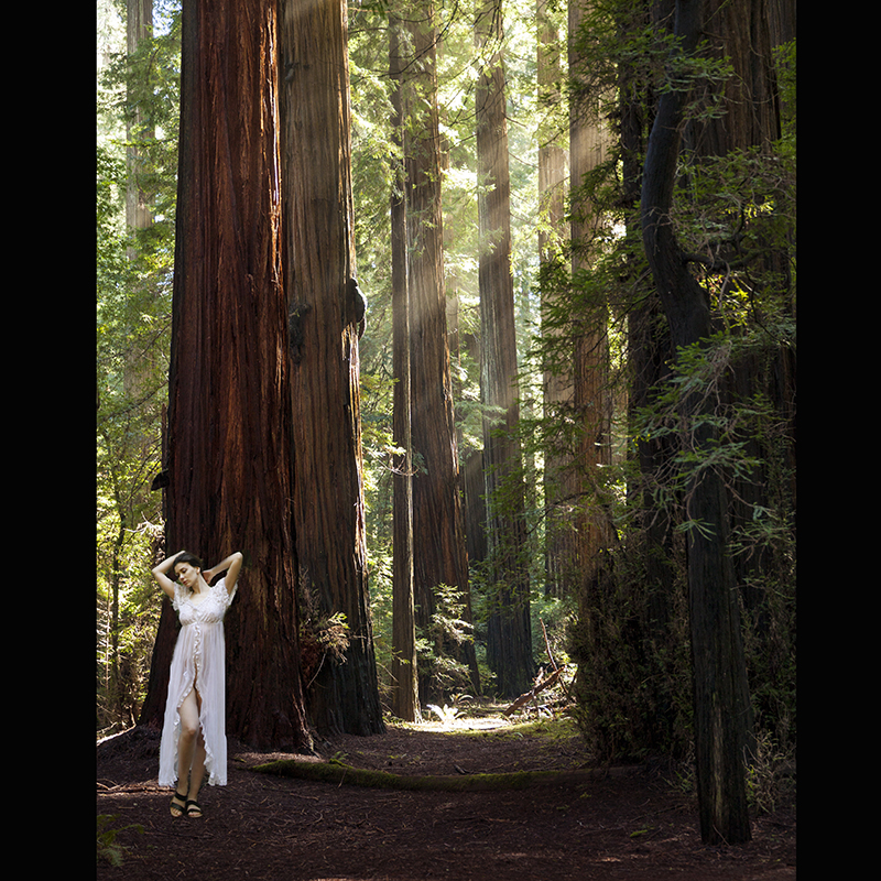 Male and Female model photo shoot of Irisphoto and Muirina Fae in Redwood National Park, California