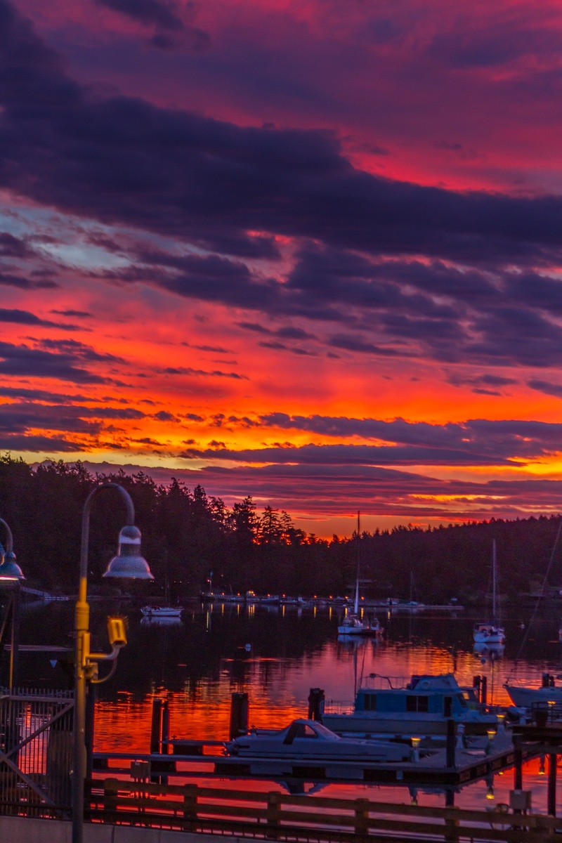 Male model photo shoot of LyonsEyePhotography in Friday Harbor, San Juan Island, WA