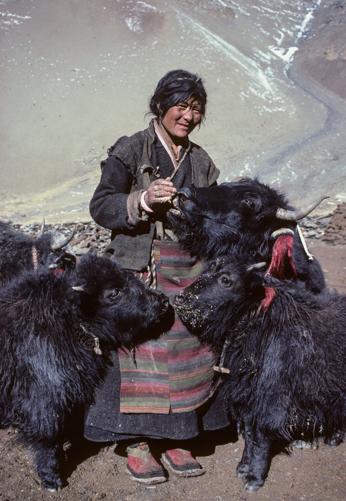 Male model photo shoot of Fish-Paparazzi in Tibet