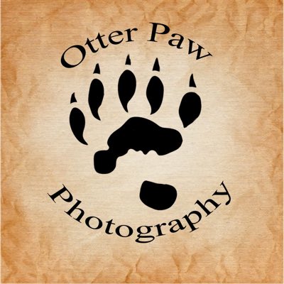 Male model photo shoot of OtterPaw Photography