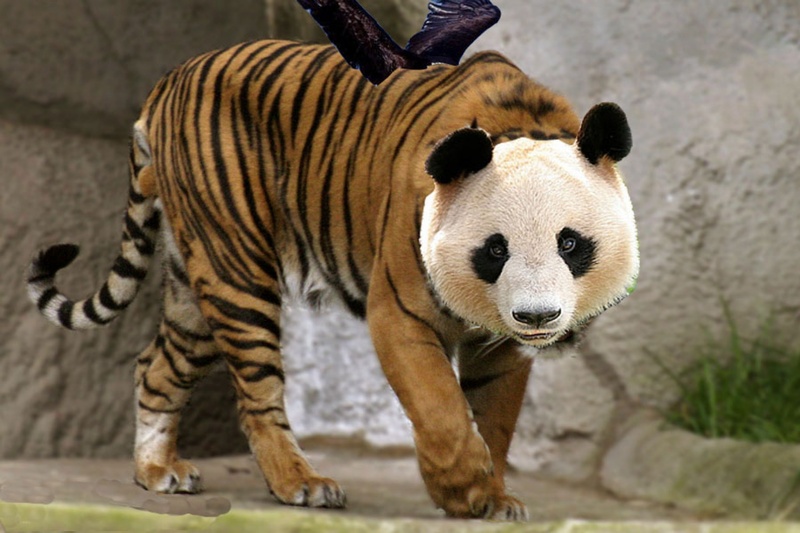 Female model photo shoot of Tigerpanda