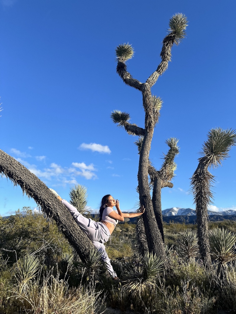 Female model photo shoot of Amanda Silicondancer in Joshua Tree National park